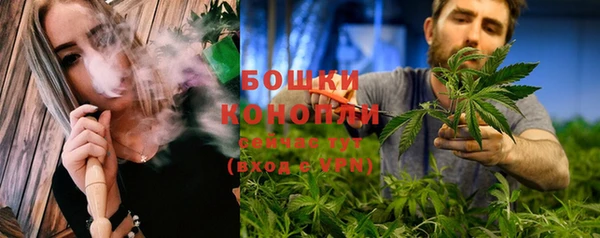 спиды Бронницы