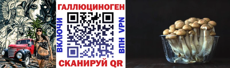 Галлюциногенные грибы Cubensis  Волжск 