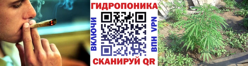 Конопля OG Kush купить наркотик Волжск